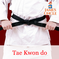Tae kwon do trainer Mr. Sumit Ghosh in Chandannagar